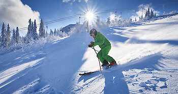 Skitage im Bayer. Wald / Gr. Arber